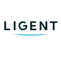 納真科技 logo
